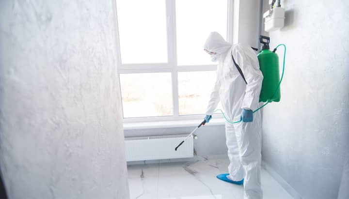 Mold Inspection Services in Ellicott City